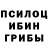 Псилоцибиновые грибы Cubensis 75:12