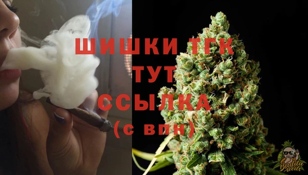 мяу мяу мука Заводоуковск